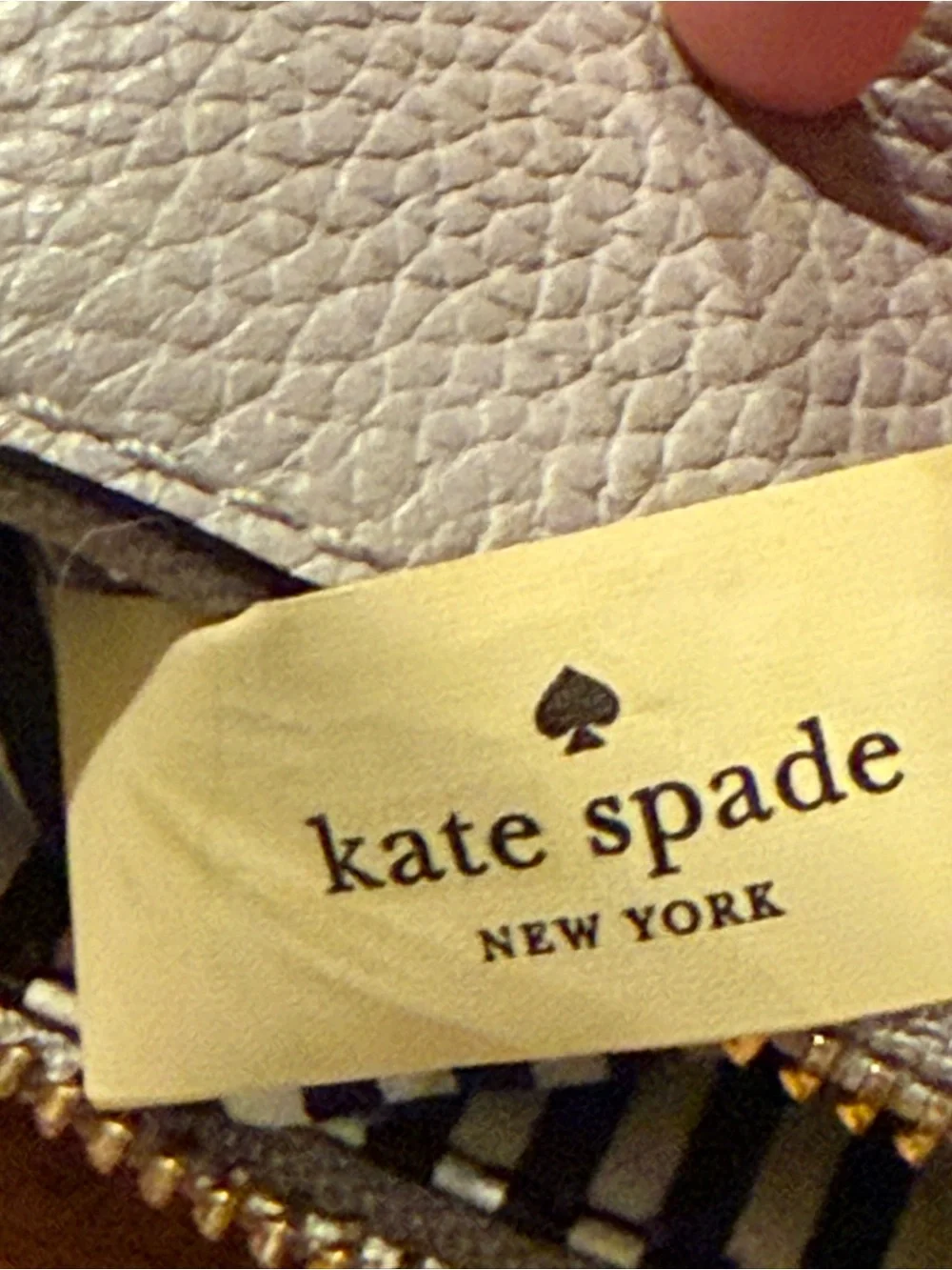 Kate Spade Jackson Street Mini Cayli Crossbody Bag